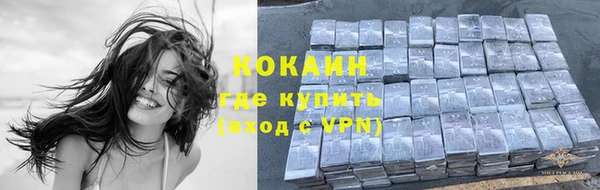 гашик Белоозёрский