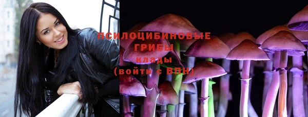 гашик Белоозёрский