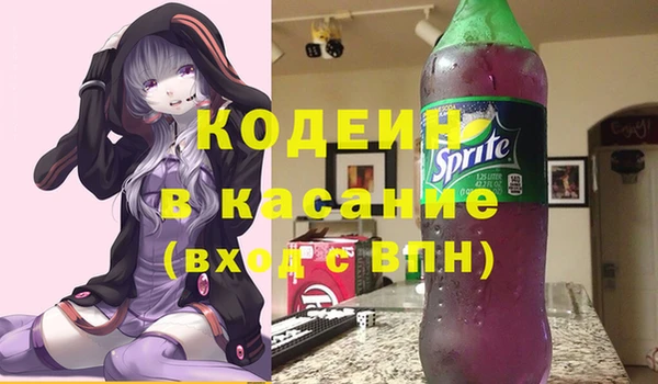прущие грибы Саяногорск