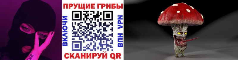 Псилоцибиновые грибы Cubensis  купить наркотики цена  Елабуга 