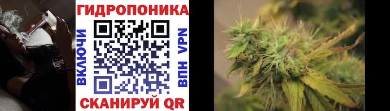 Шишки марихуана White Widow  Елабуга 